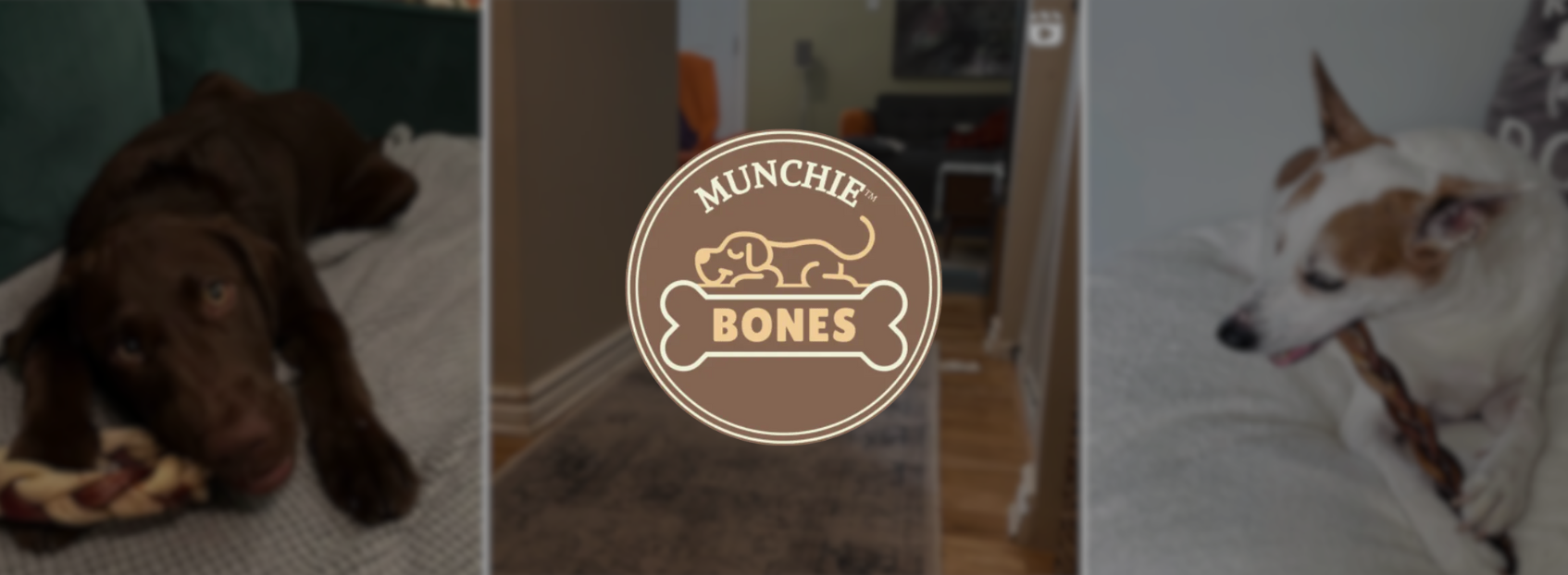 munchiebones