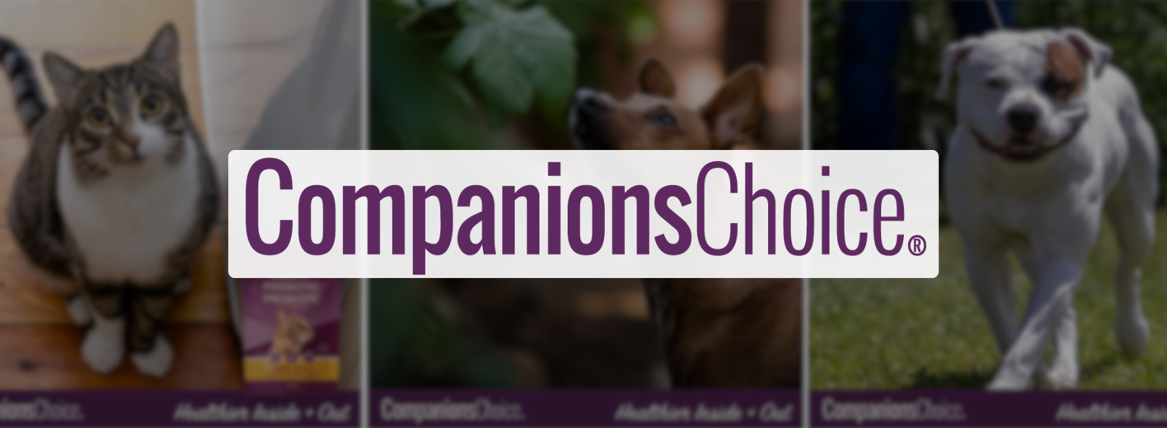 companionschoice
