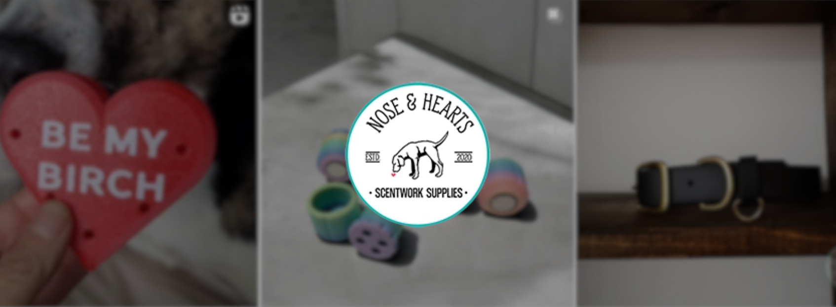 noseandhearts