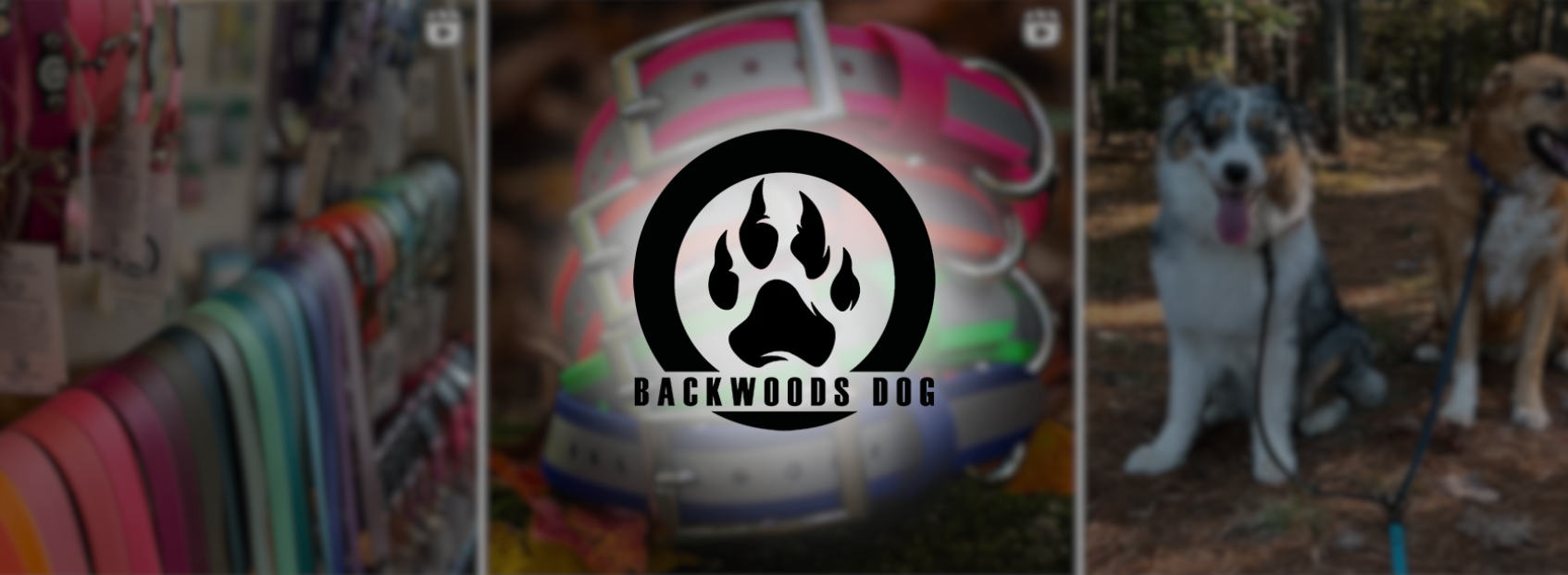 backwoodsdog