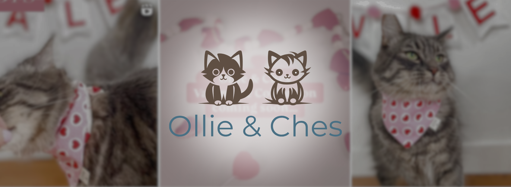 ollieandches