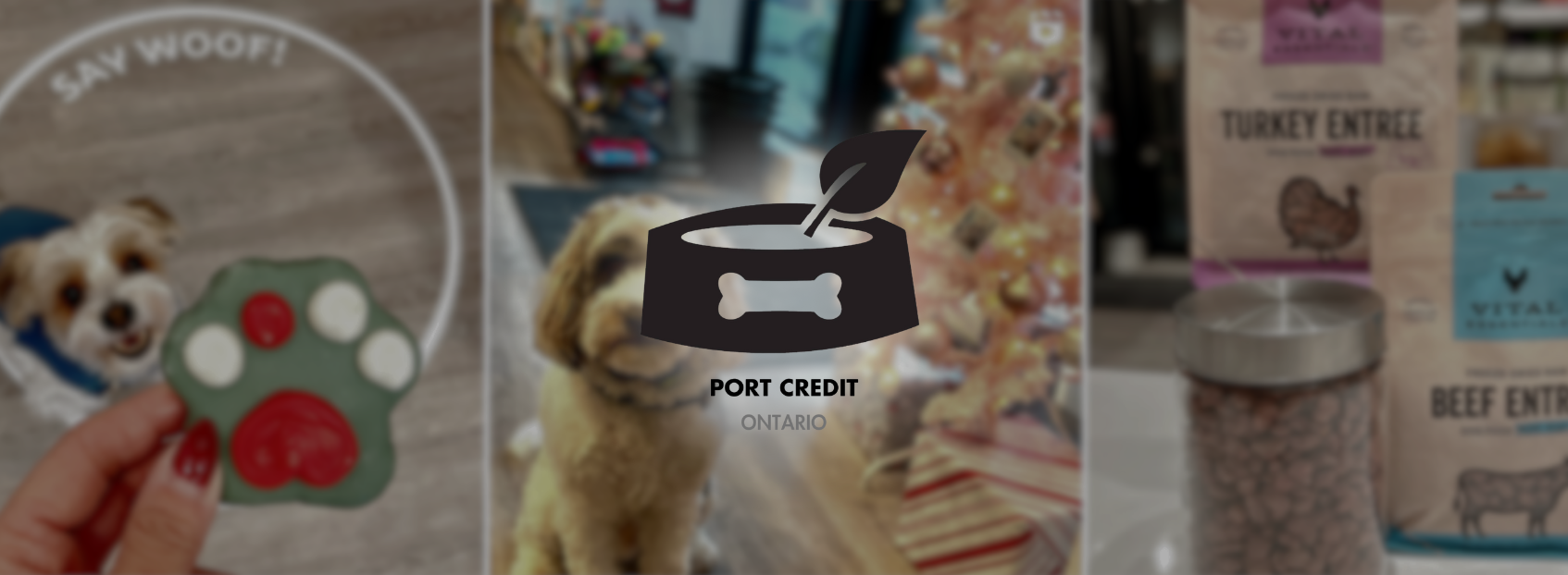 bonebiscuitportcredit