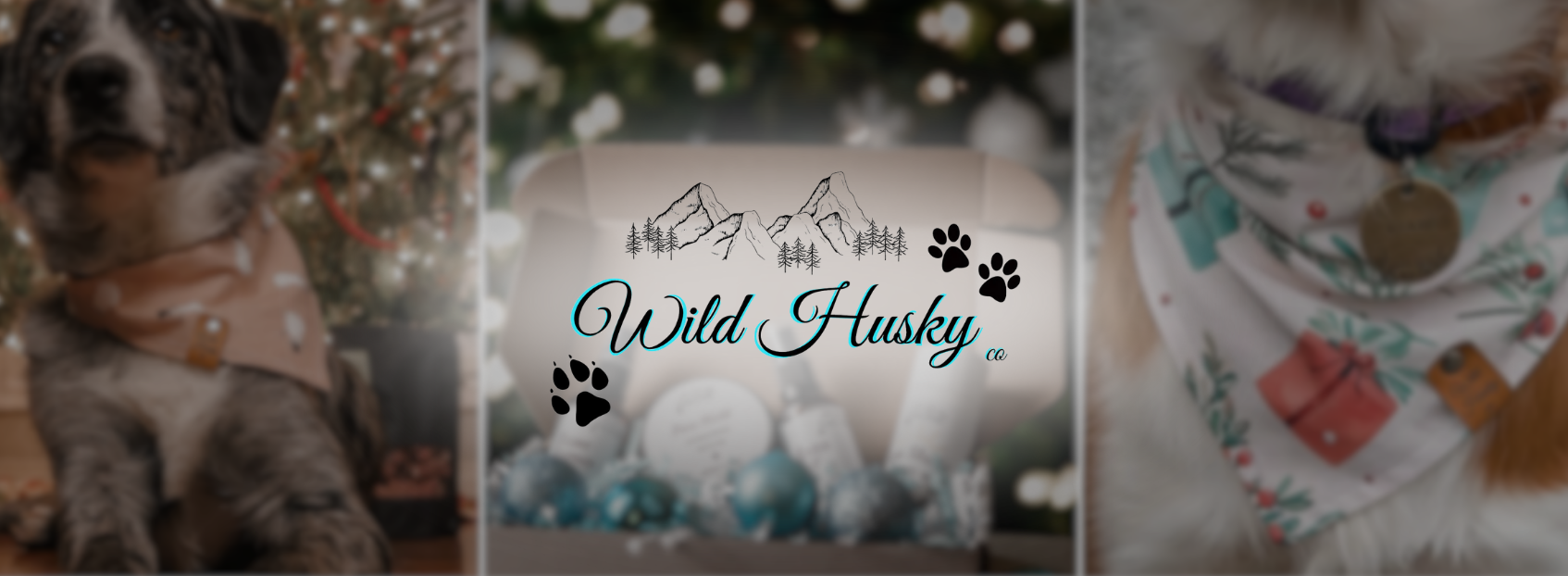 wildhuskyco