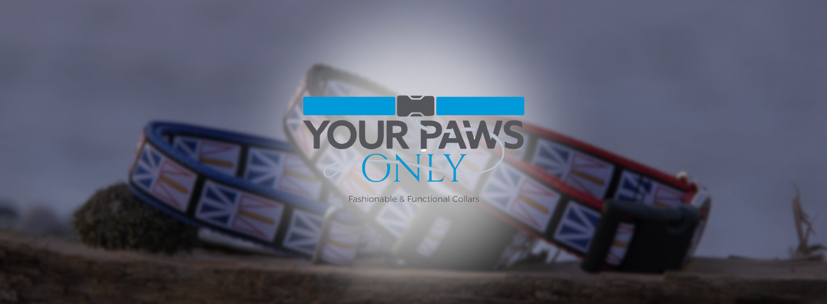 yourpawsonly