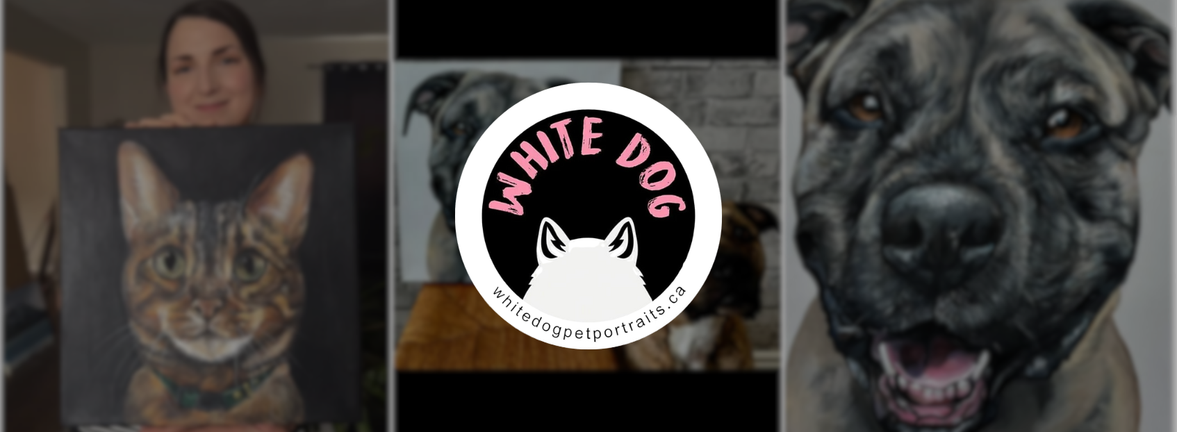 whitedogpetportraits