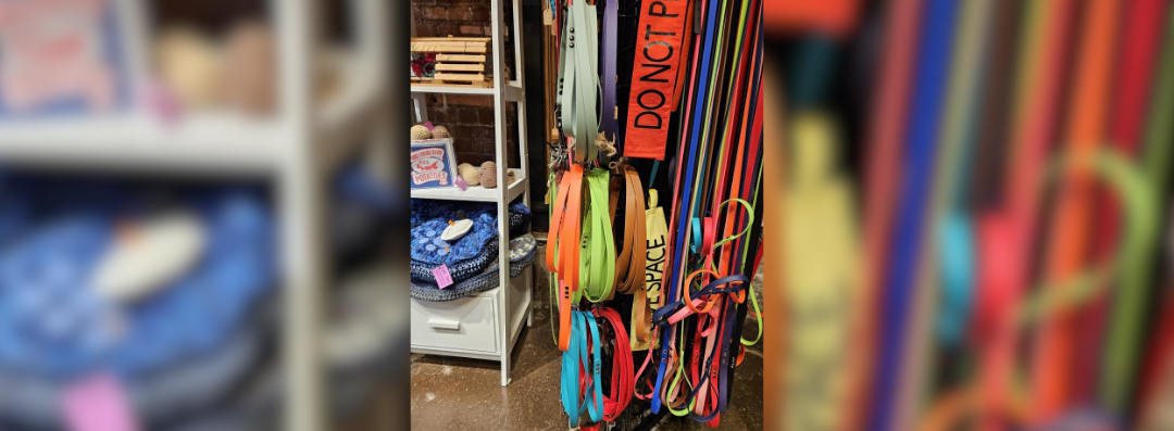 Banners (1080 x 397 px) (33)