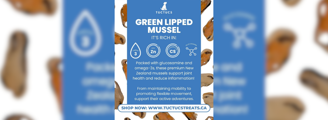 Banners (1080 x 397 px) (44)