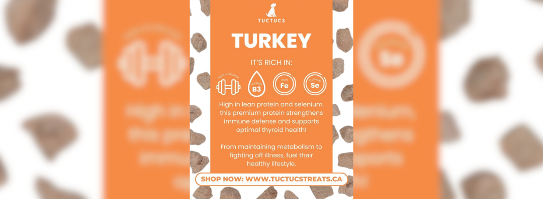 Banners (1080 x 397 px) (45)