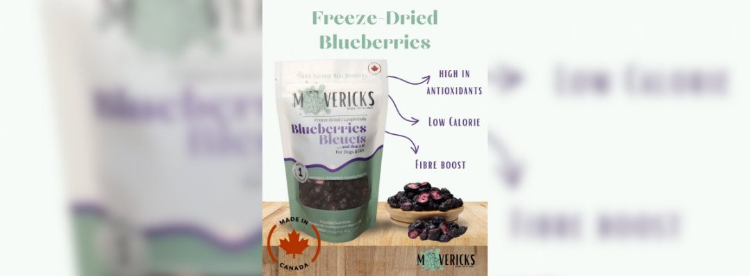 Banners (1080 x 397 px) (51)