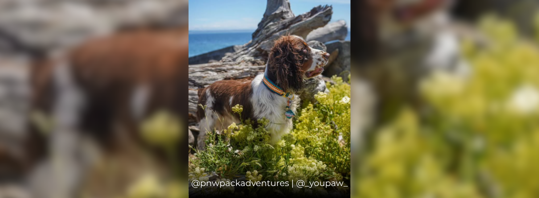 Banners (1080 x 397 px) (53)