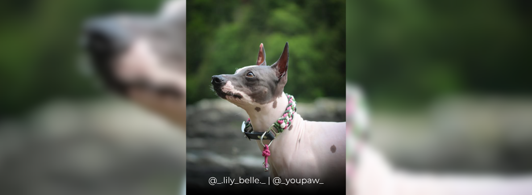 Banners (1080 x 397 px) (54)