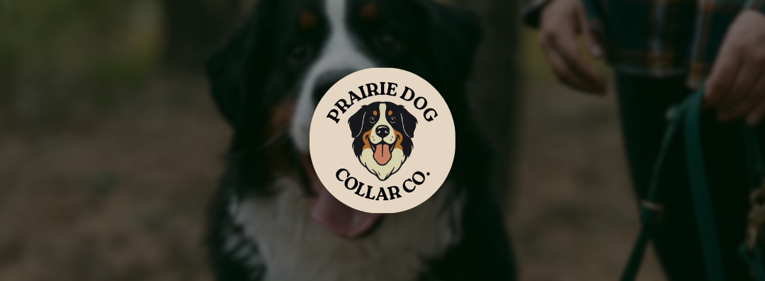 Banners-prairiedogcollarco