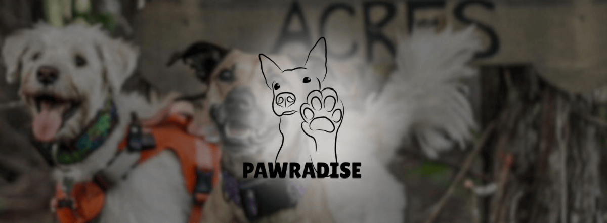 Banners – 2025-03-19T190340.010