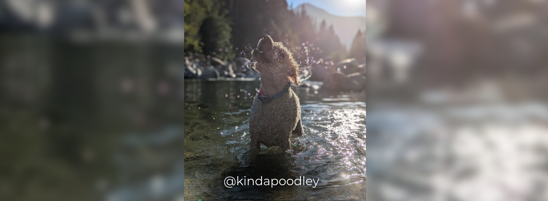 Banners – 2025-03-19T201316.068