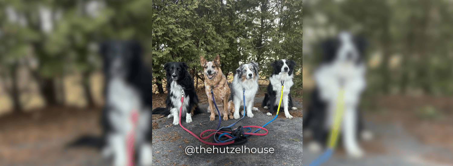 Banners – 2025-03-19T201536.545