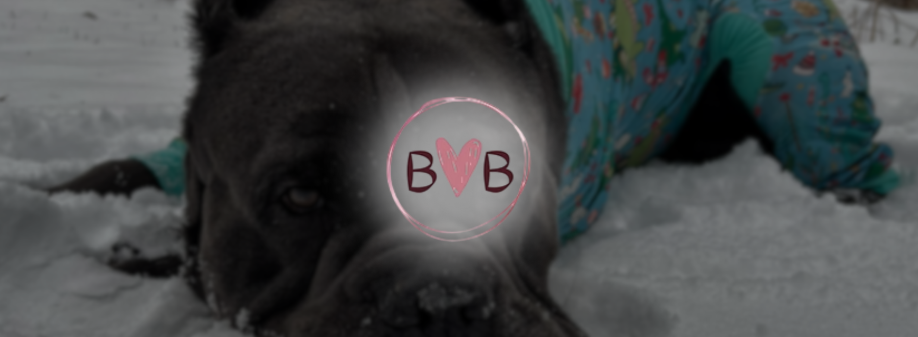 Banners-bullyloveboutique