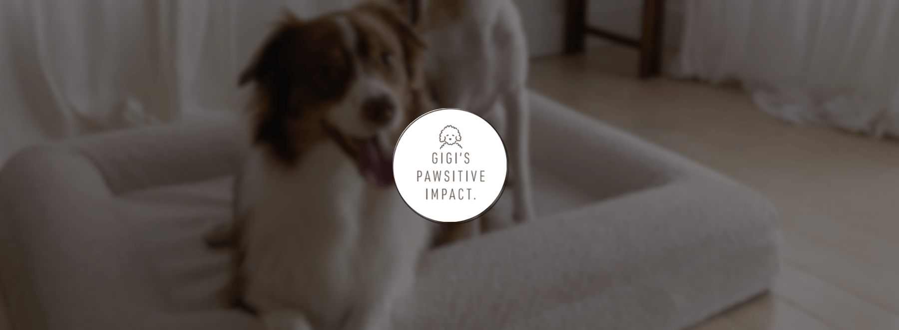 Bannersgigispawsitiveimpact