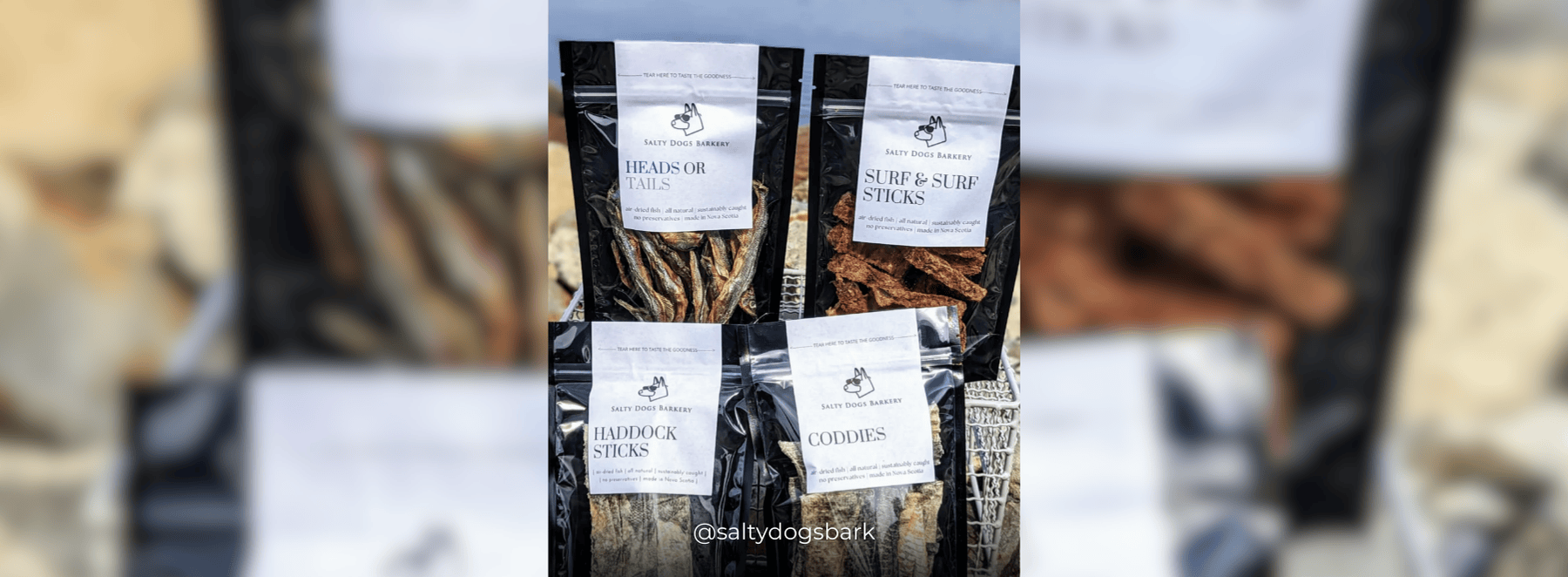 Banners – 2025-03-29T120746.017