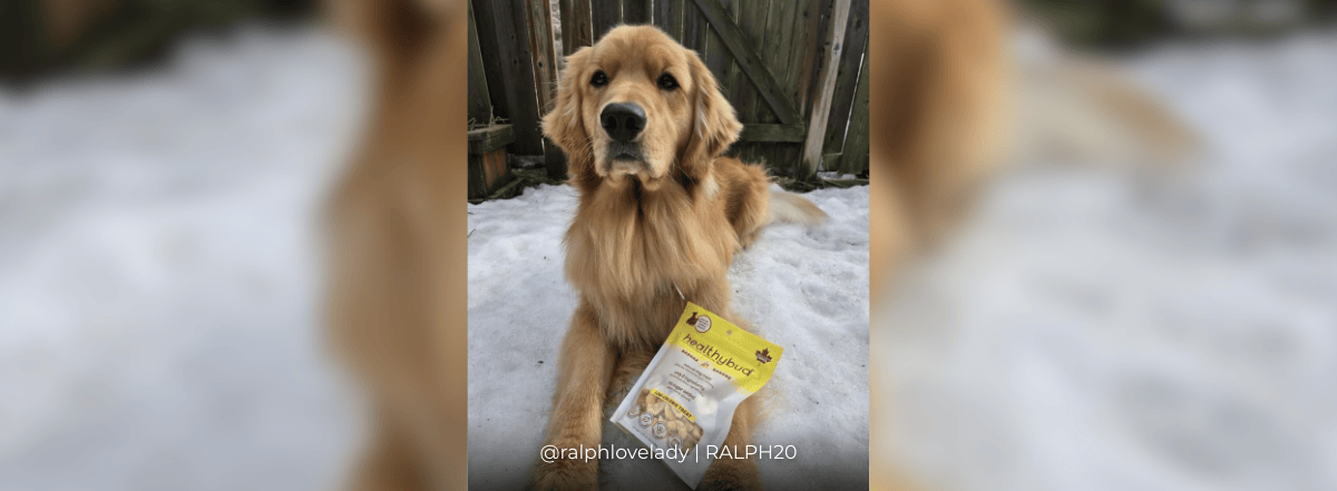 Banners – 2025-04-05T082117.692