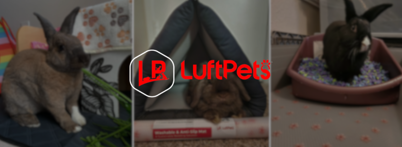 luftpets