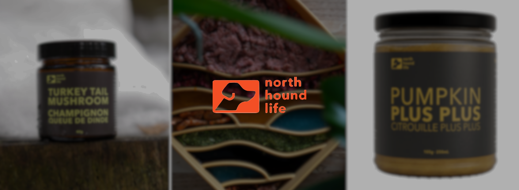 northhoundlife