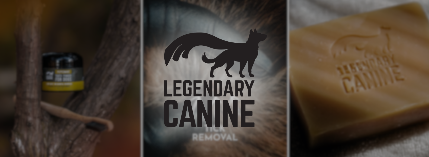 legendarycanine