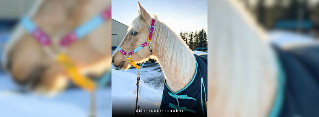 Banners (1080 x 397 px) (4)