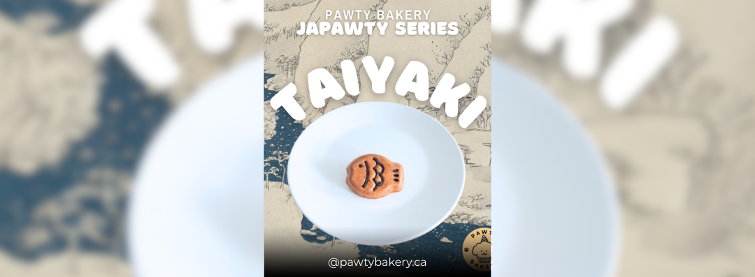 Banners (1080 x 397 px) (6)