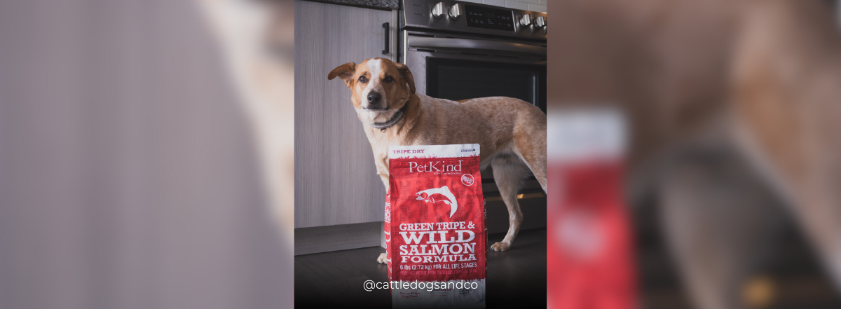 Banners – 2025-04-16T185306.840