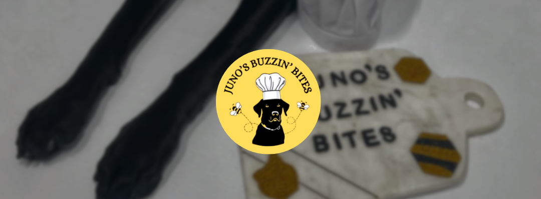 Banners-junosbuzzinbites