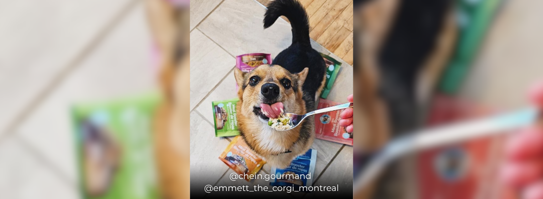 Banners (1080 x 397 px) (37)