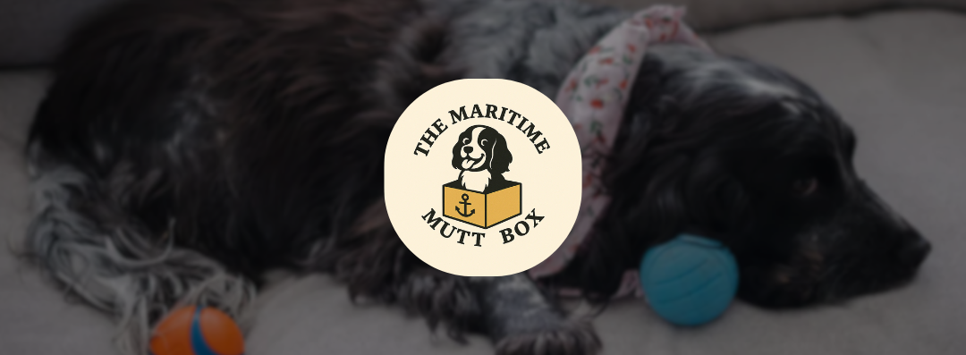 Banners-martimemuttbox
