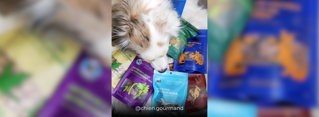 Banners (1080 x 397 px) (38)