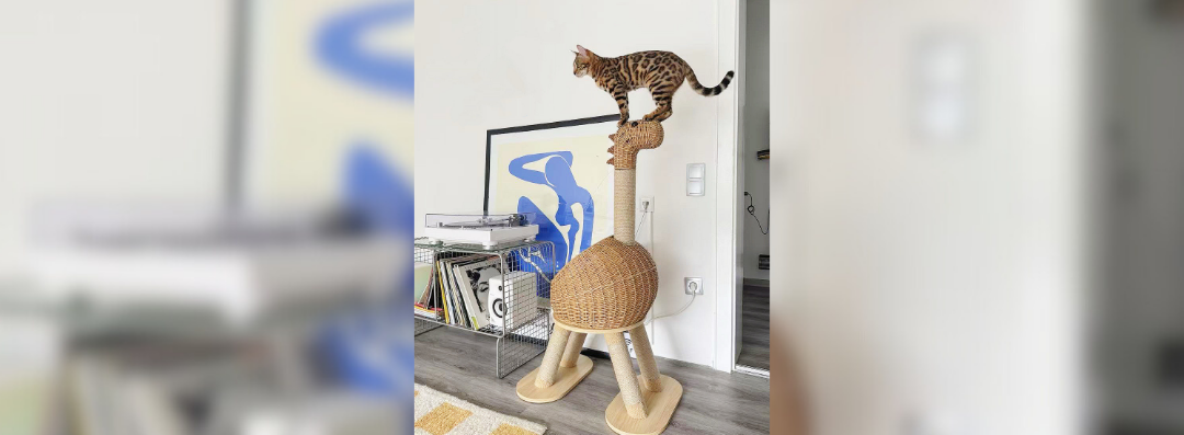 Banners (1080 x 397 px) (83)