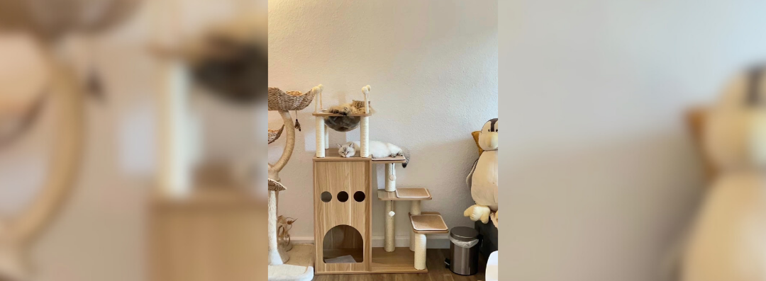 Banners (1080 x 397 px) (84)