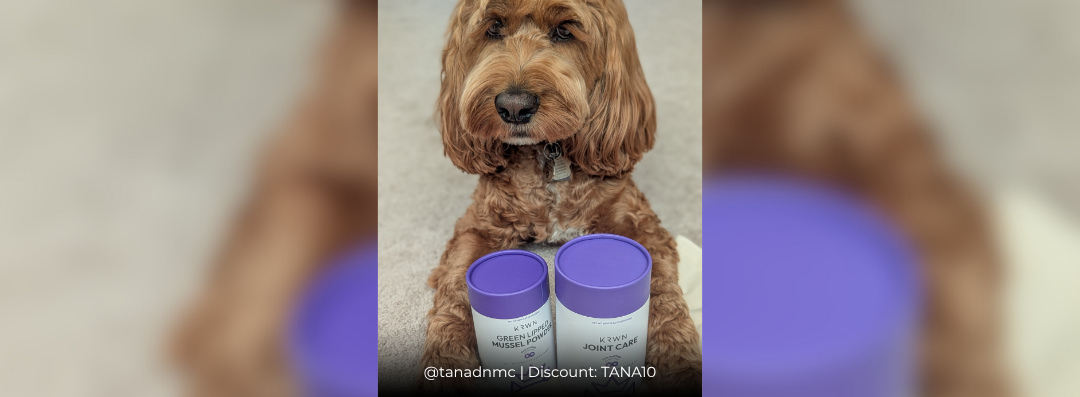 Banners (1080 x 397 px) (93)